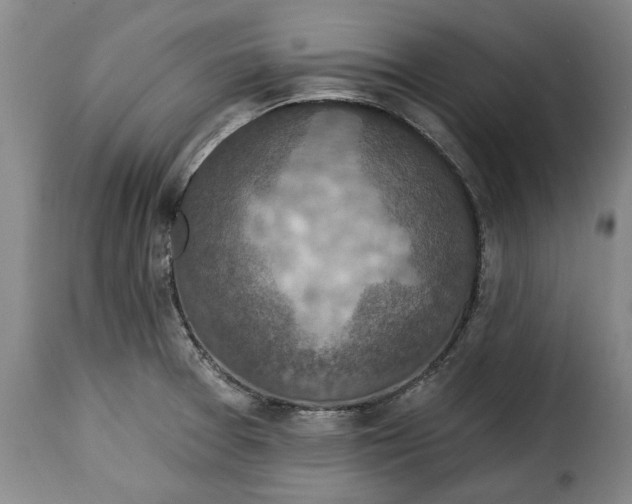 X0000115361377200911241206