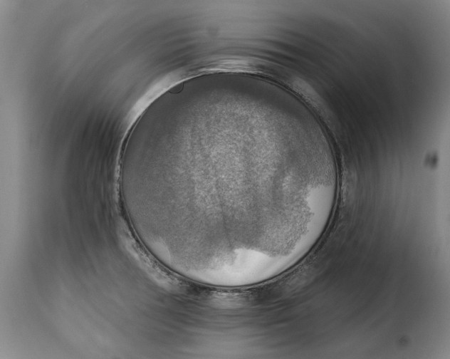 X0000115361378200911241206