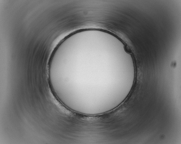 X0000115361380200911241206
