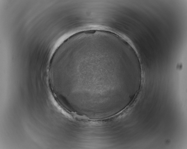 X0000115361381200911241206