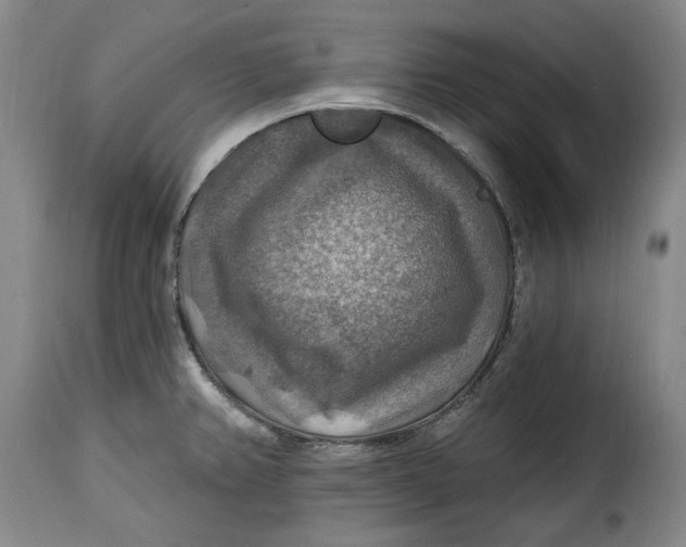 X0000115361382200911241206