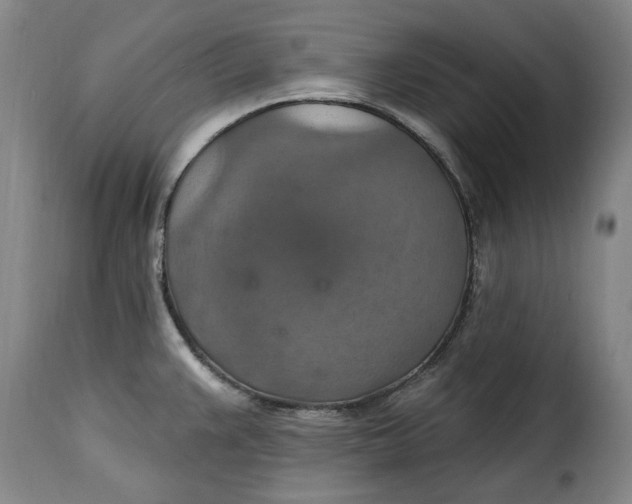 X0000115361383200911241206