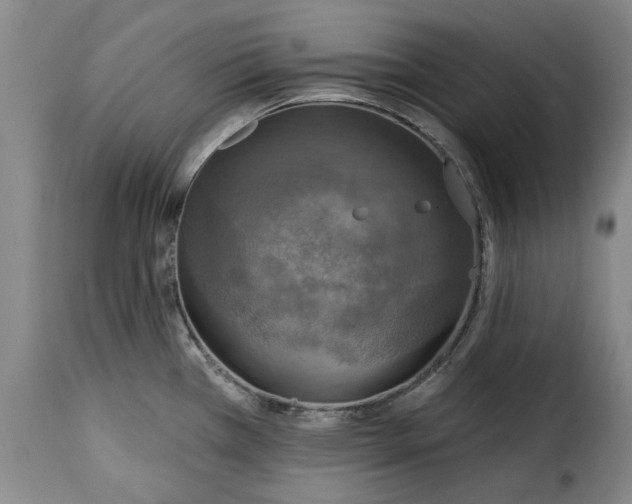 X0000115361385200911241206