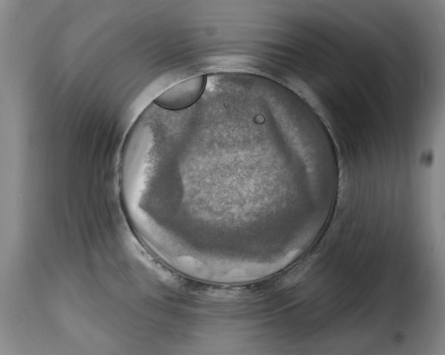 X0000115361386200911241206