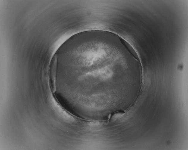 X0000115361389200911241206