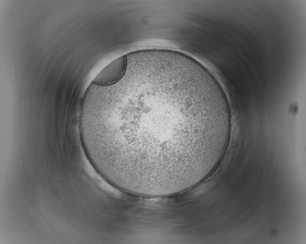 X0000115361390200911241206