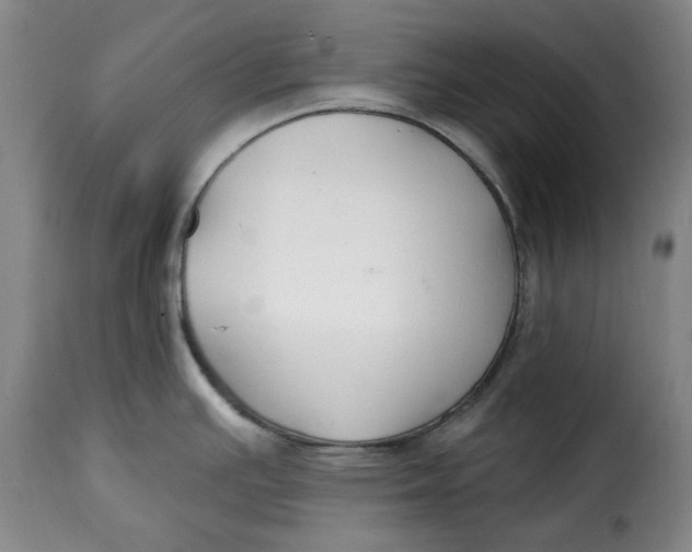 X0000115361391200911241206