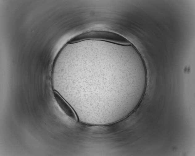 X0000115361392200911241206