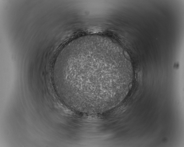 X0000115361393200911241205