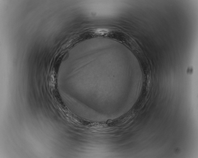 X0000115361394200911241205
