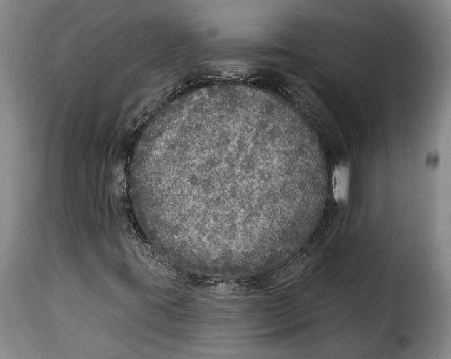 X0000115361395200911241205