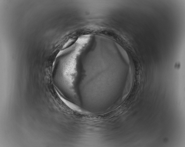 X0000115361397200911241205