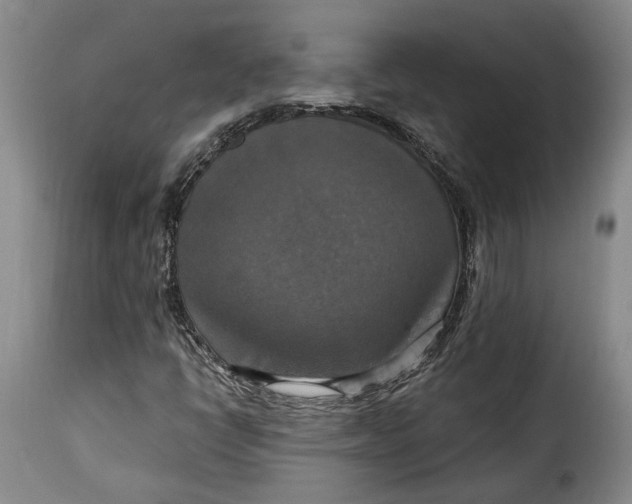 X0000115361398200911241205