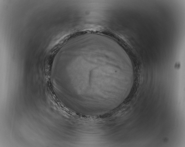 X0000115361399200911241205