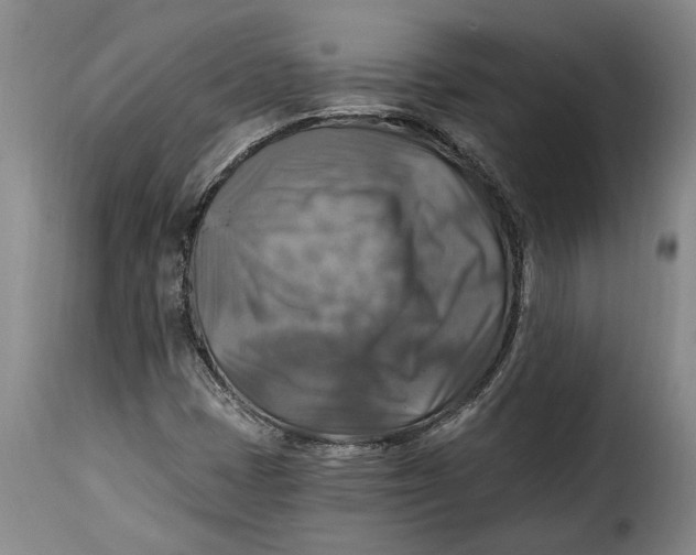 X0000115361401200911241205