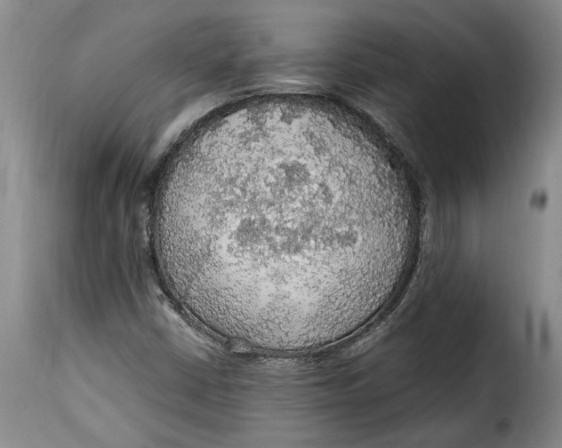 X0000115361402200911241205