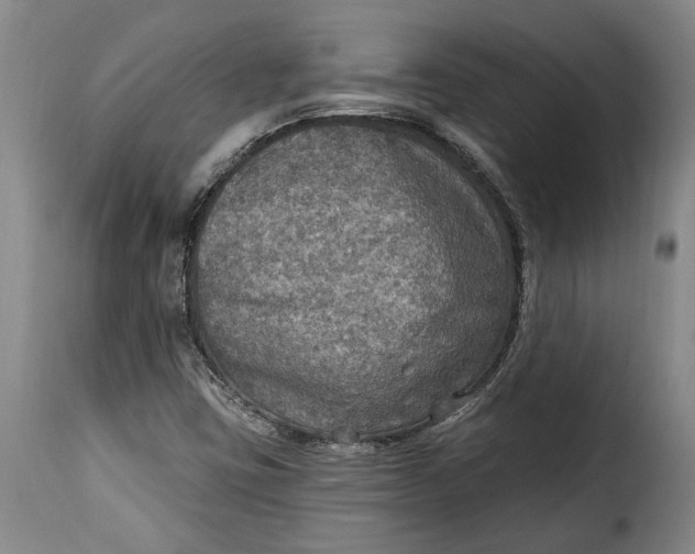 X0000115361403200911241205