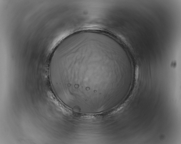 X0000115361405200911241205