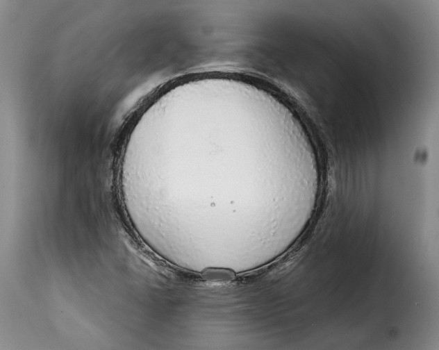 X0000115361406200911241205