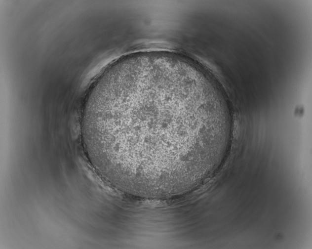 X0000115361407200911241205
