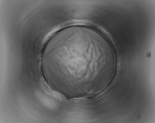 X0000115361411200911241205