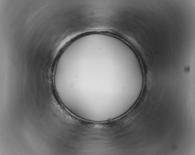 X0000115361412200911241205