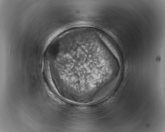 X0000115361413200911241205