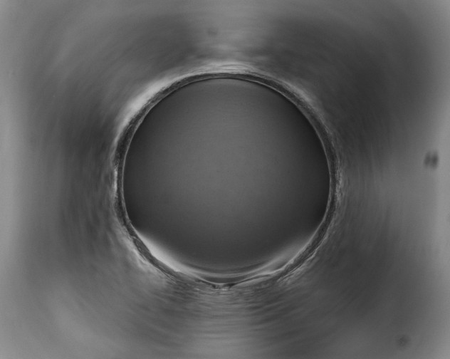 X0000115361414200911241206