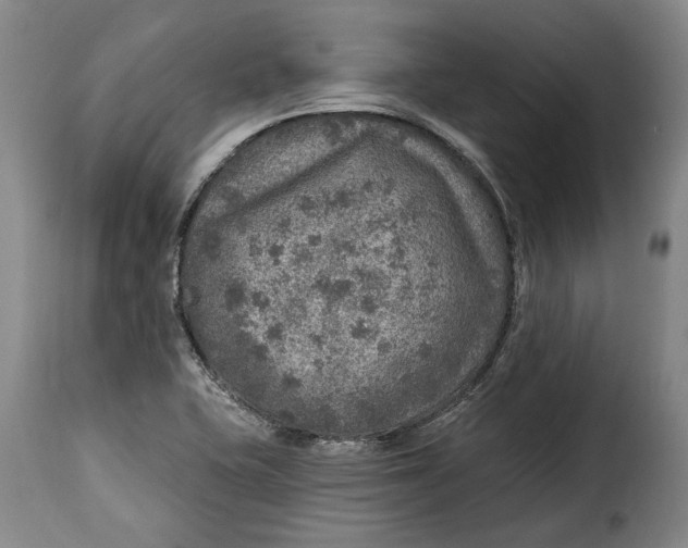 X0000115361415200911241206