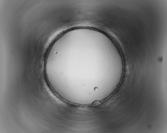 X0000115361416200911241206
