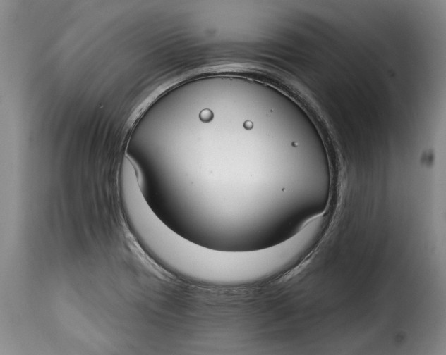 X0000115361417200911241206