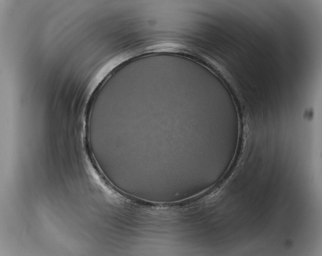 X0000115361418200911241206