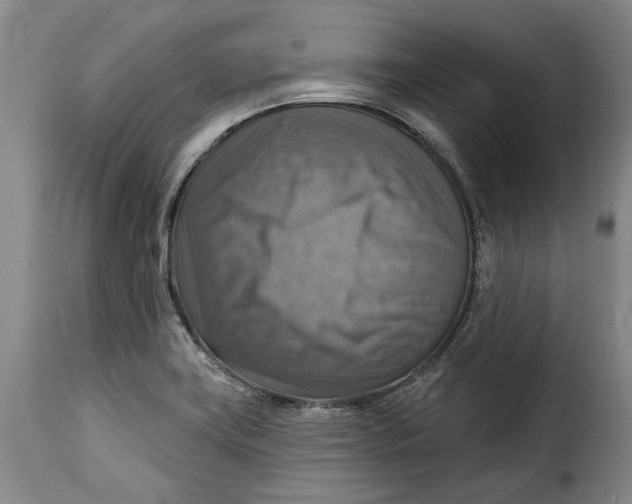 X0000115361419200911241206