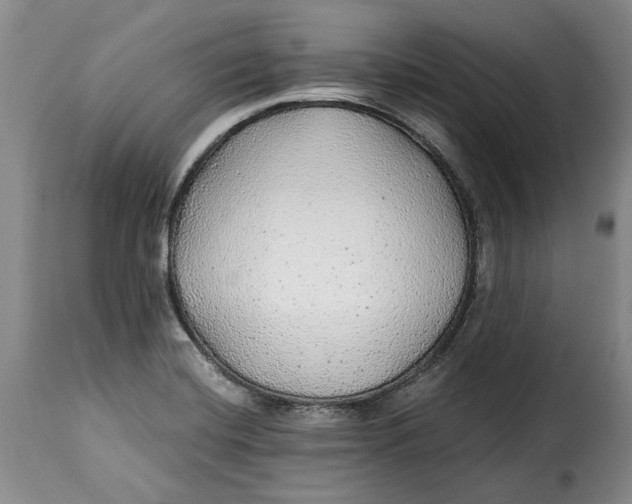 X0000115361420200911241206