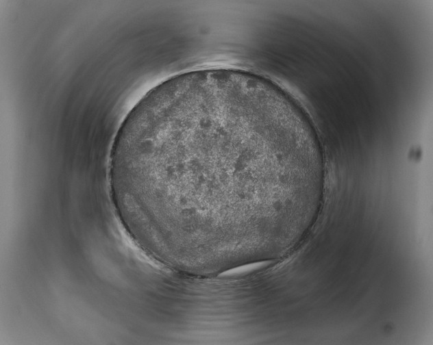 X0000115361423200911241206