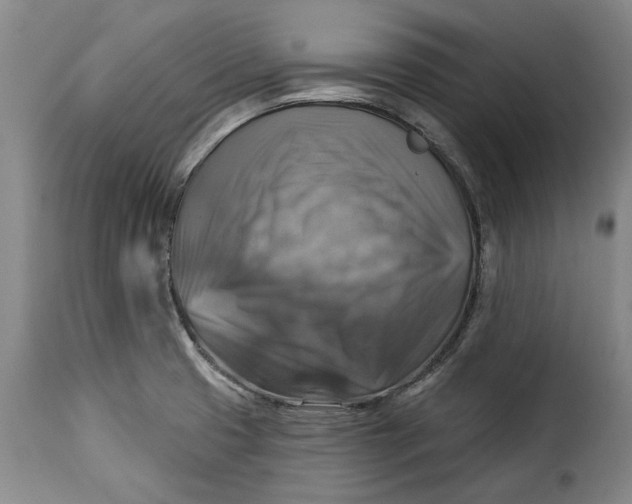 X0000115361425200911241206