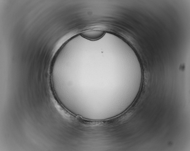 X0000115361426200911241206