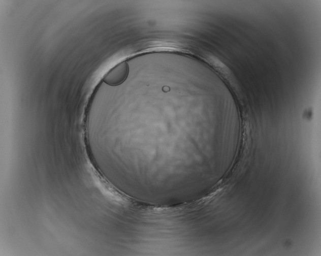 X0000115361427200911241206