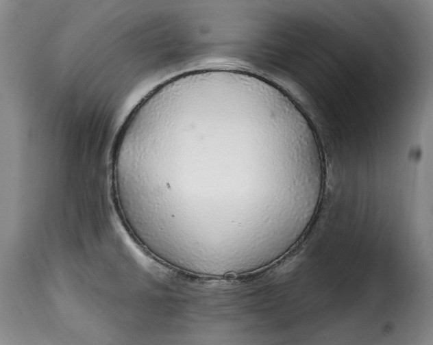 X0000115361430200911241206