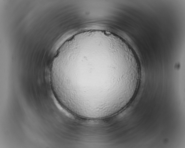 X0000115361433200911241206