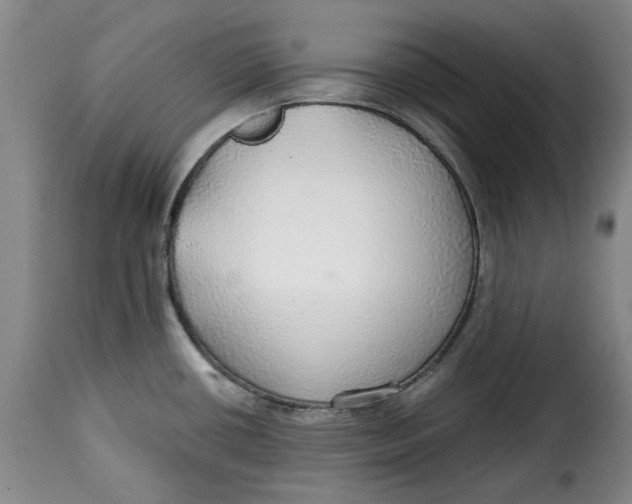 X0000115361434200911241206