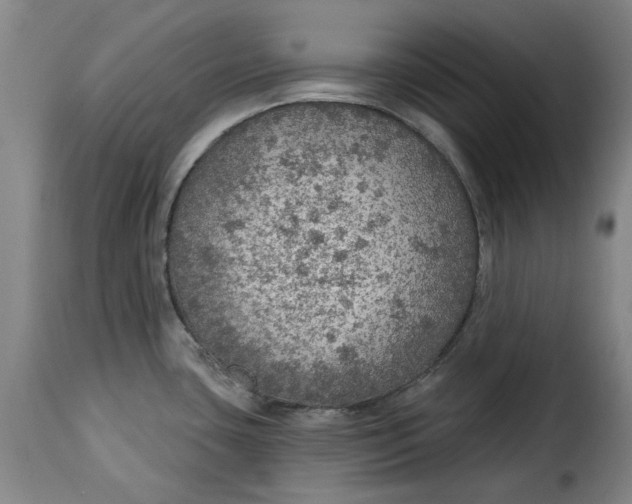 X0000115361435200911241206