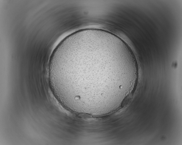X0000115361436200911241206