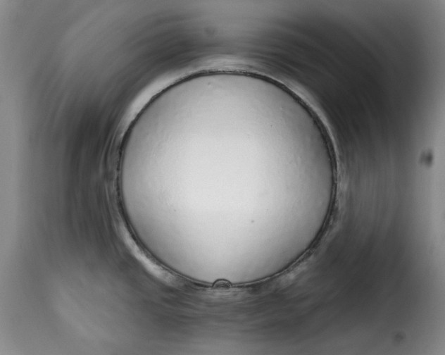 X0000115361437200911241206