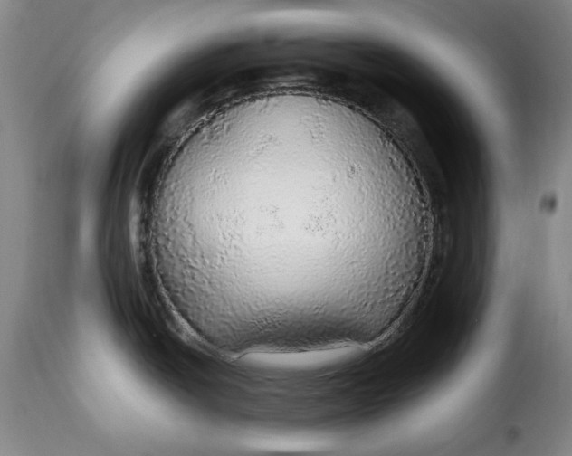 X0000115361438200911241206