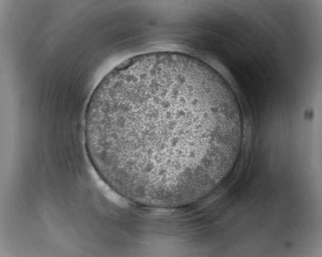 X0000115361439200911241206