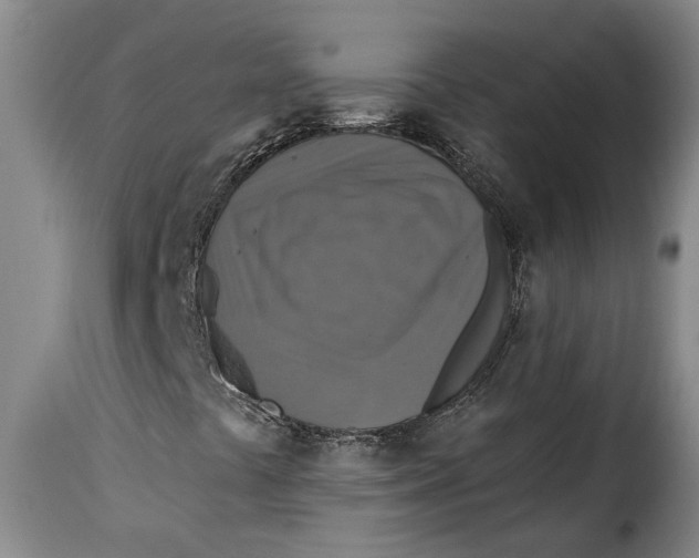 X0000115361441200911241205