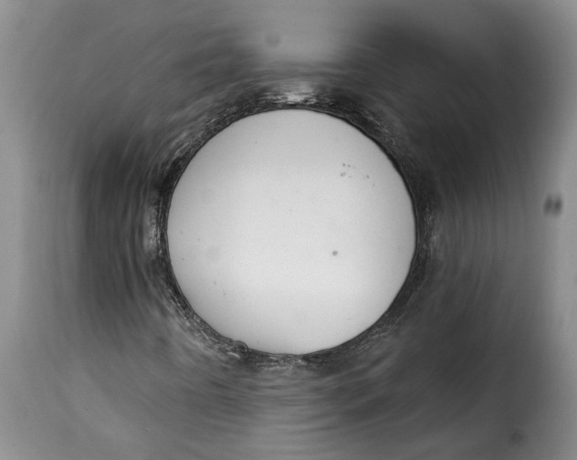 X0000115361442200911241205