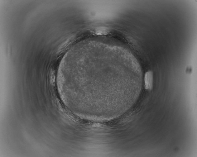 X0000115361443200911241205