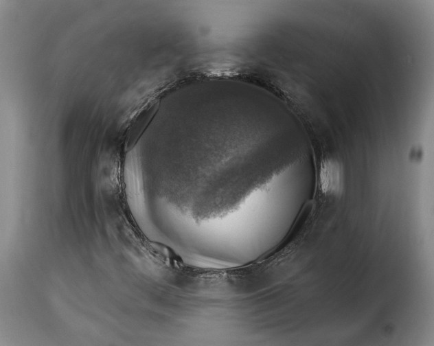 X0000115361444200911241205